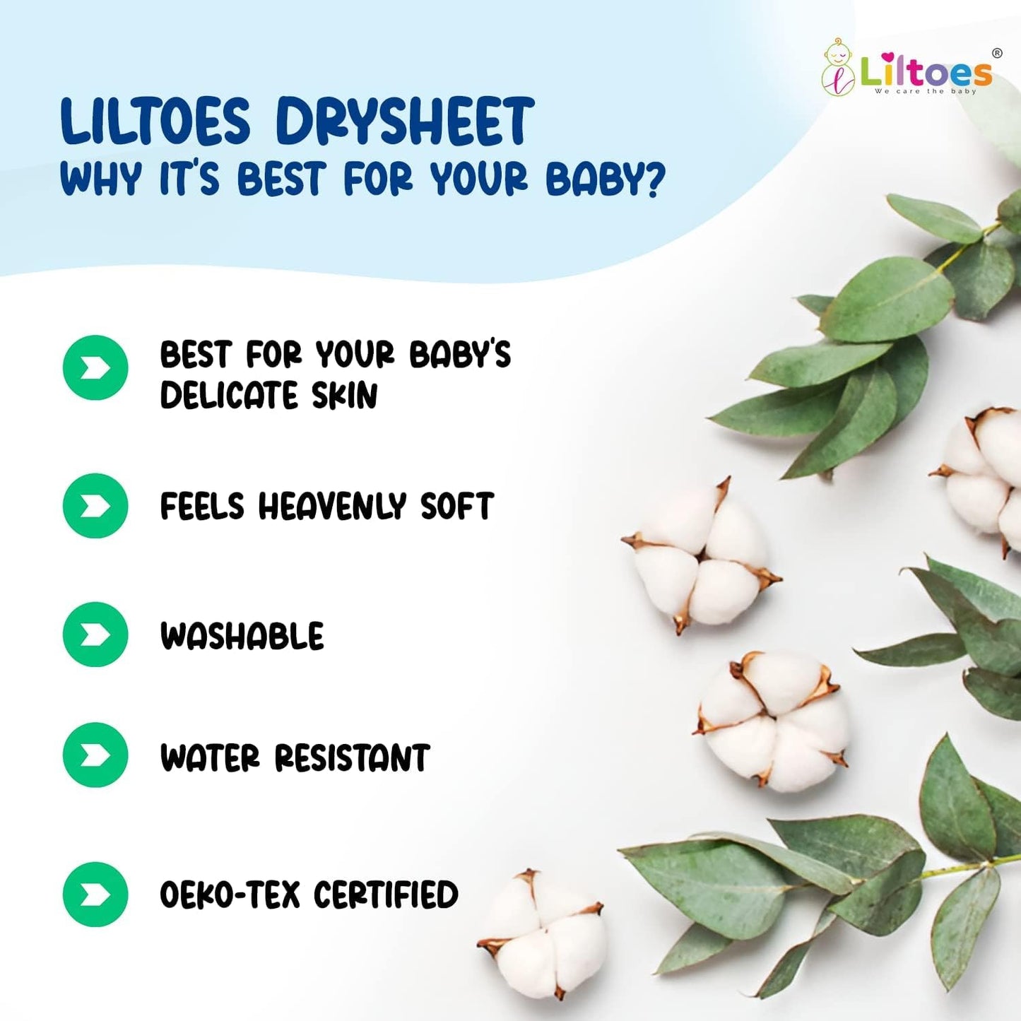 DrySheet (Large Pack  of 1)