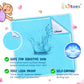 DrySheet (Large Pack  of 1)